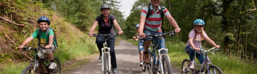 Family Cycling In Sherwood Forest