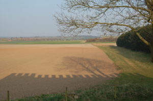 View from bedroom